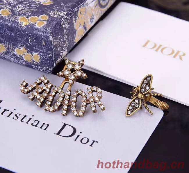 Dior Earrings CE5368