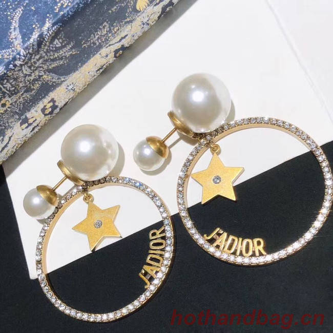 Dior Earrings CE5454