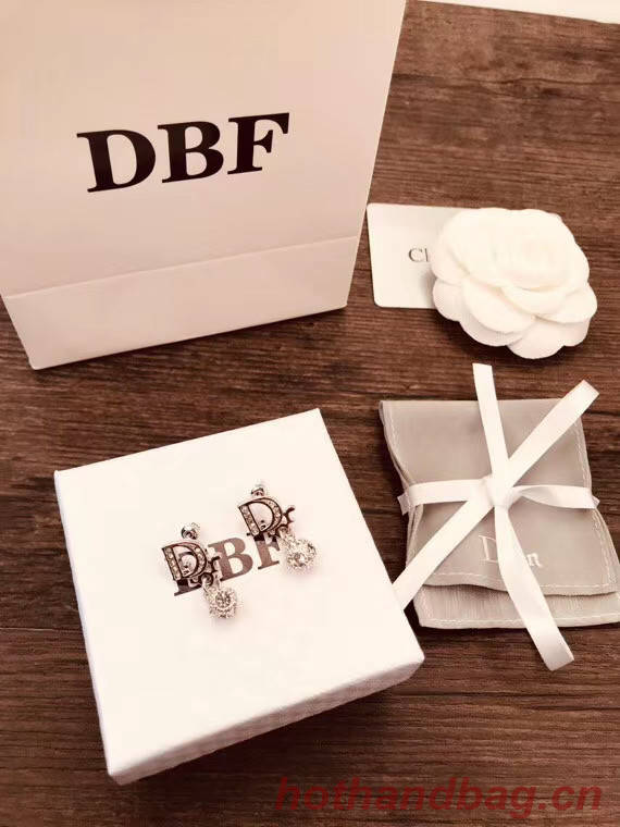 Dior Earrings CE5553