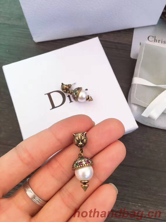 Dior Earrings CE5555