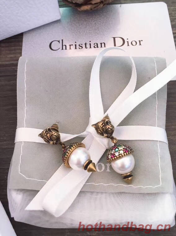 Dior Earrings CE5555