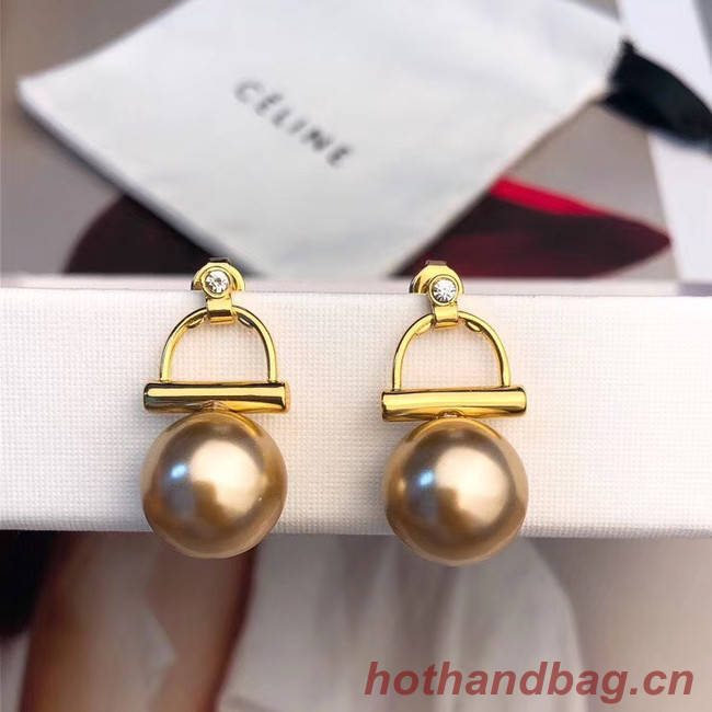 CELINE Earrings CE5599