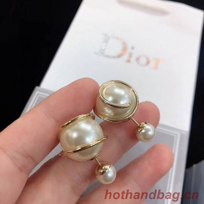 Dior Earrings CE5669