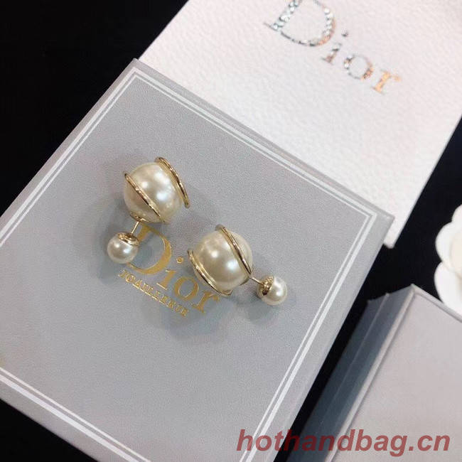 Dior Earrings CE5669