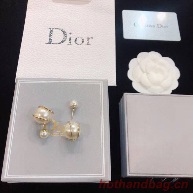 Dior Earrings CE5669