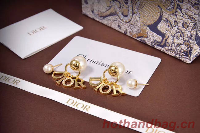 Dior Earrings CE5671