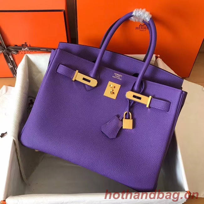 Hermes Birkin Bag Original Leather 17825 purple