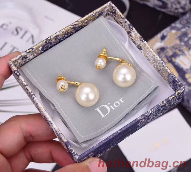 Dior Earrings CE5740