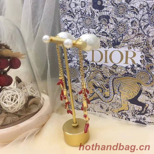 Dior Earrings CE5745