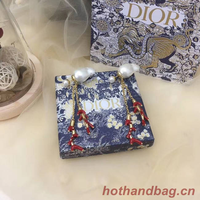 Dior Earrings CE5745