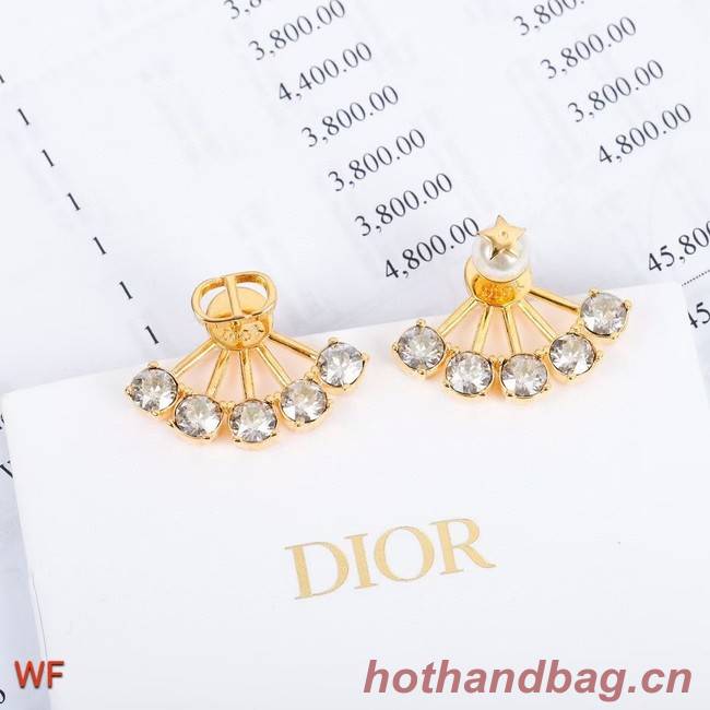 Dior Earrings CE5749