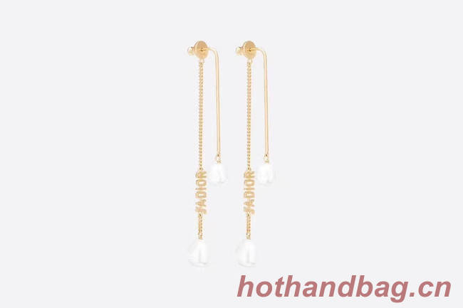 Dior Earrings CE5793