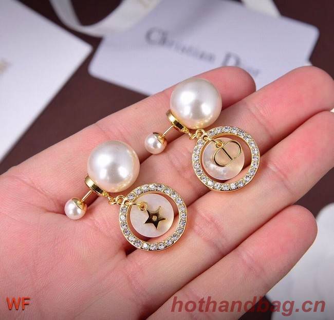 Dior Earrings CE5828