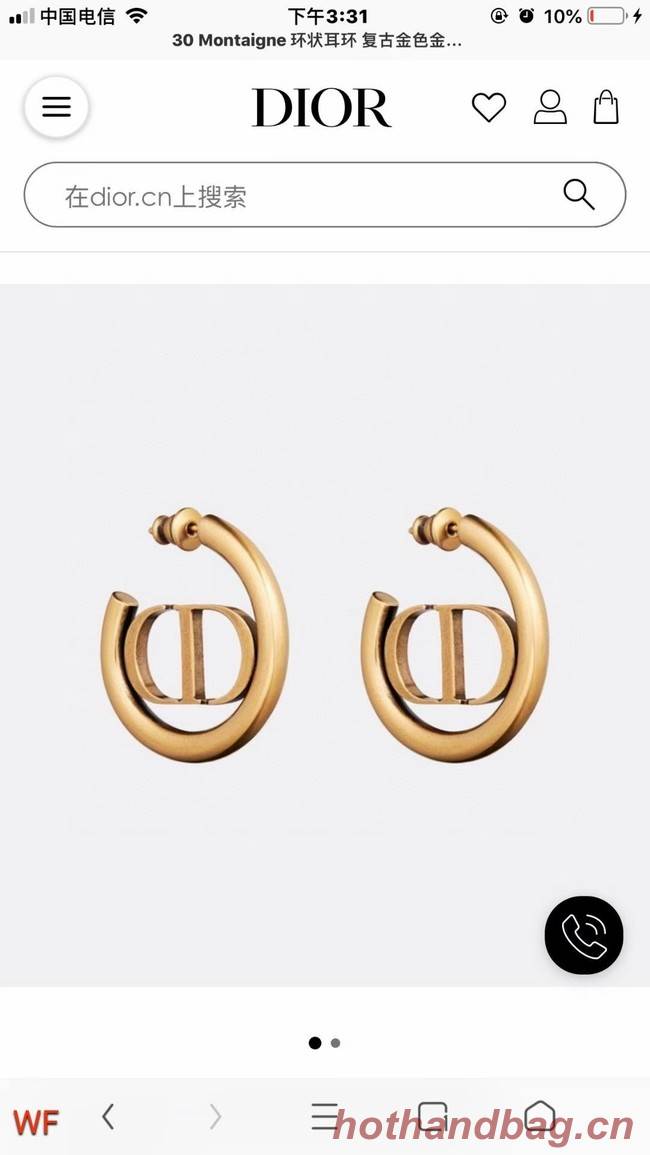 Dior Earrings CE5837