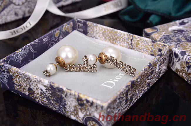 Dior Earrings CE5875