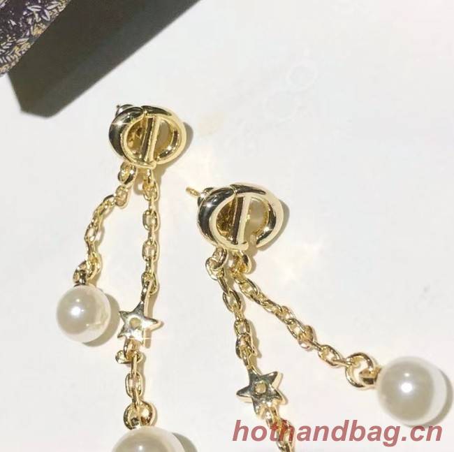 Dior Earrings CE5882