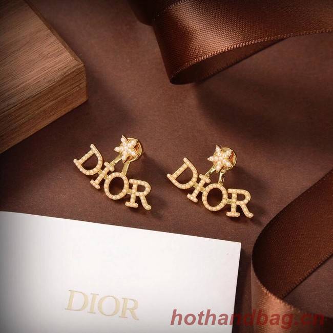 Dior Earrings CE6040