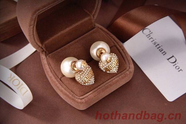 Dior Earrings CE6043