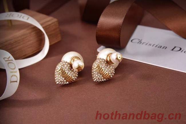 Dior Earrings CE6043