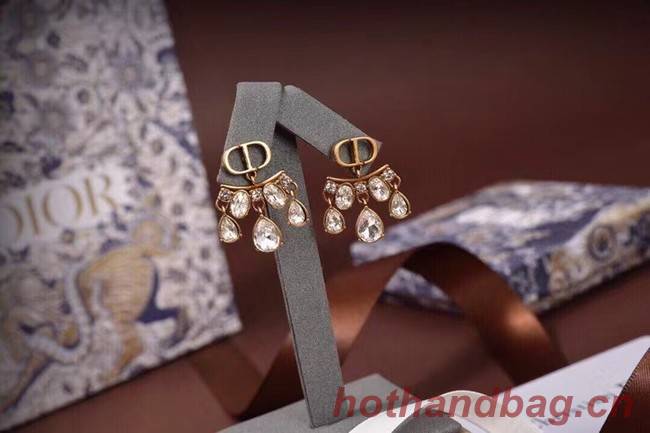 Dior Earrings CE6045