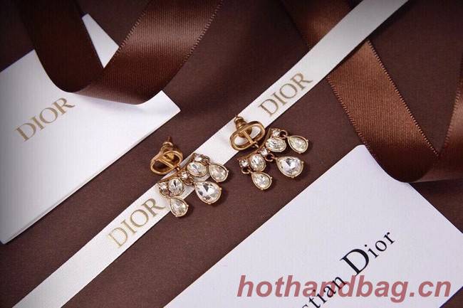 Dior Earrings CE6045