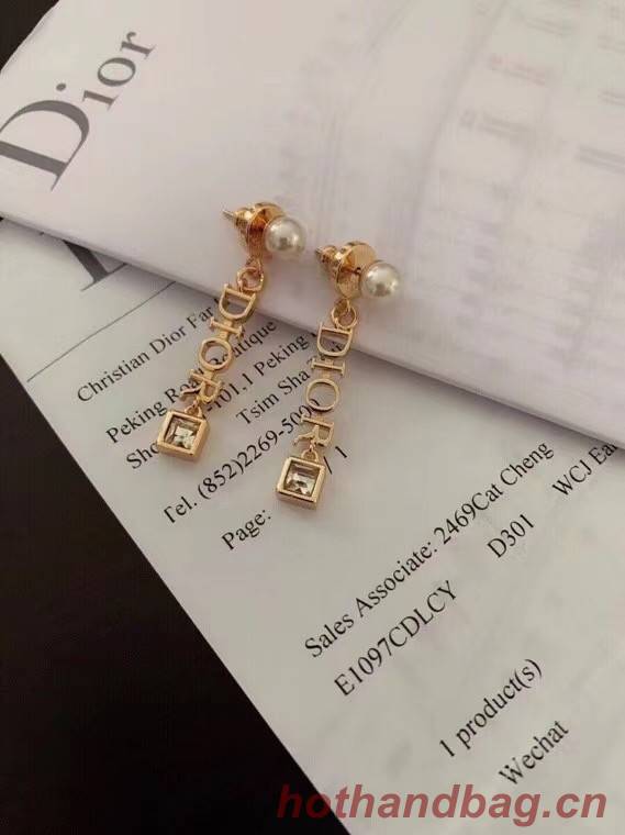 Dior Earrings CE6051