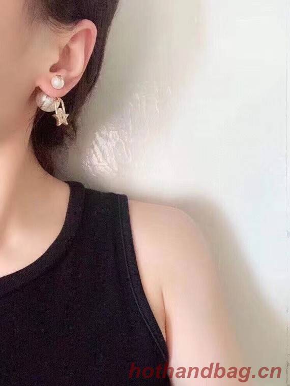 Dior Earrings CE6057