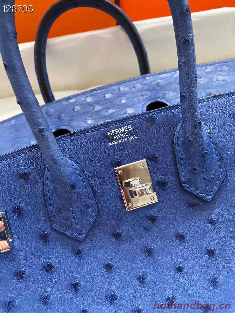 Hermes Birkin Bag Original Leather Ostrich Skin HBK2530 Dark Blue