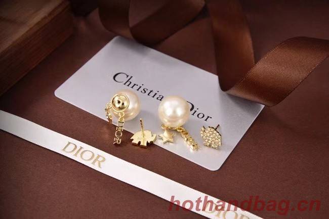 Dior Earrings CE6080