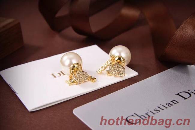 Dior Earrings CE6080