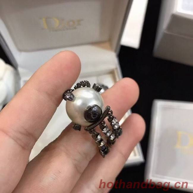 Dior Earrings CE6103