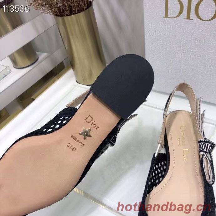 Dior Shoes Dior749DJC-3