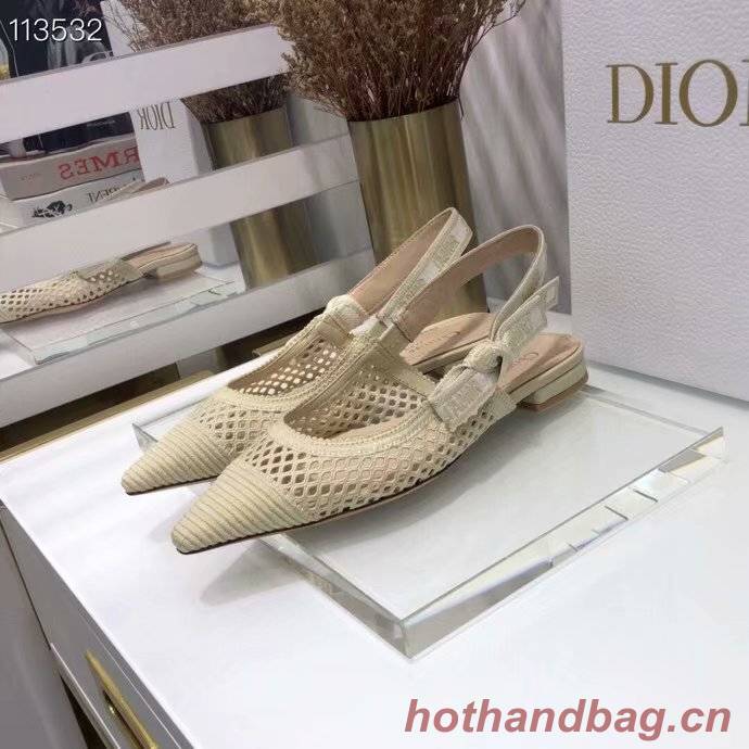 Dior Shoes Dior749DJC-6