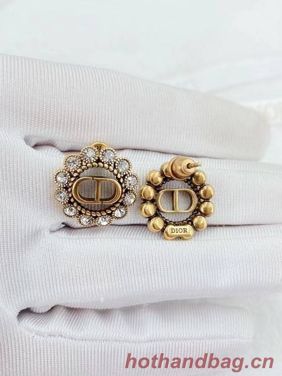 Dior Earrings CE6304