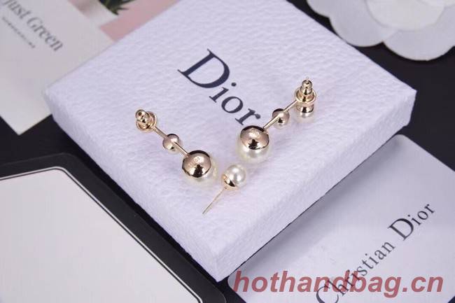 Dior Earrings CE6312