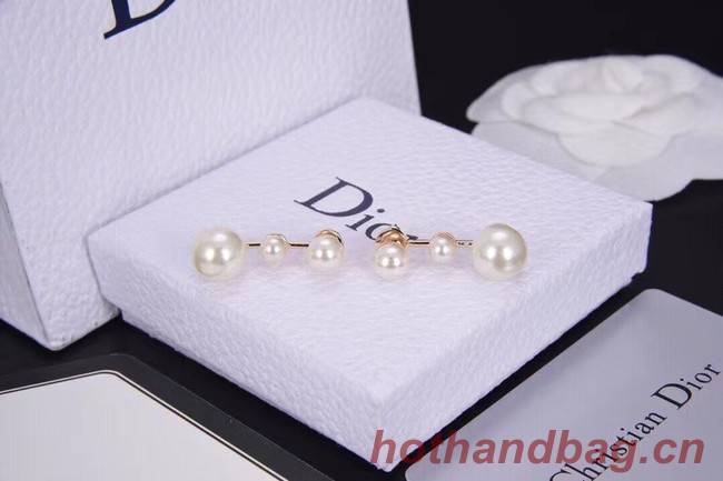 Dior Earrings CE6312