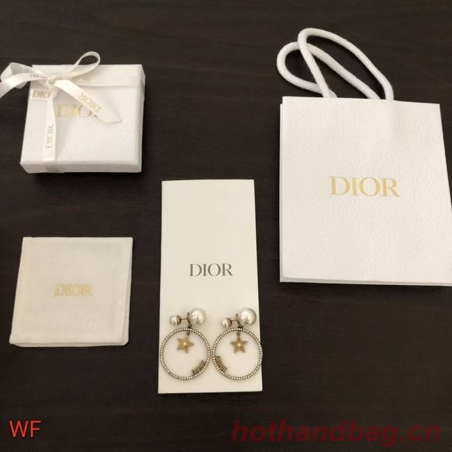 Dior Earrings CE6330