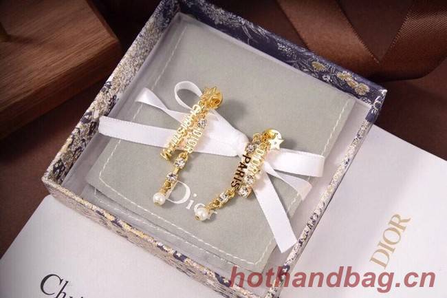 Dior Earrings CE6333