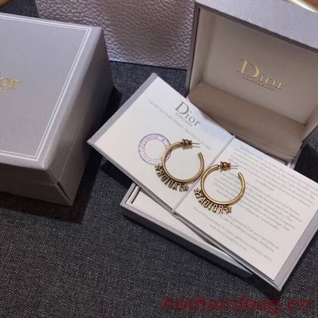 Dior Earrings CE6343