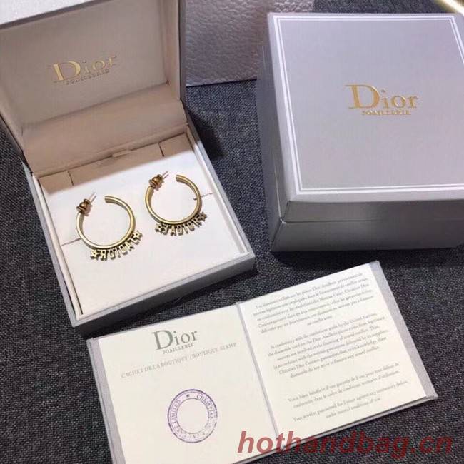 Dior Earrings CE6343