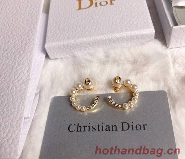 Dior Earrings CE6349