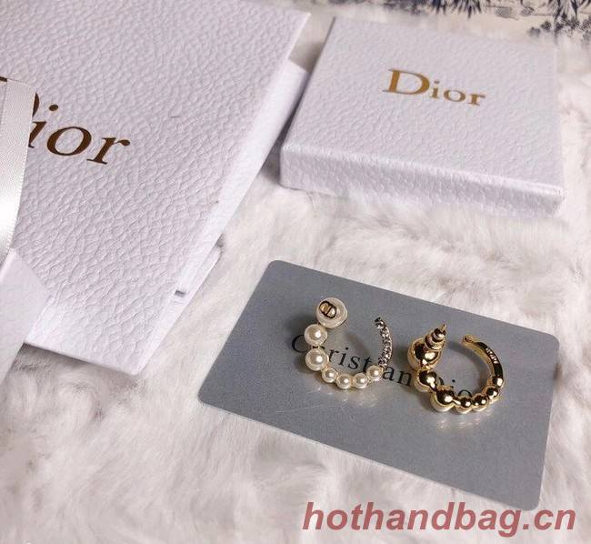 Dior Earrings CE6349