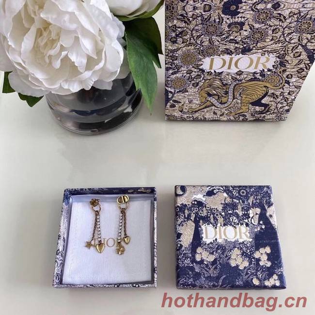 Dior Earrings CE6382