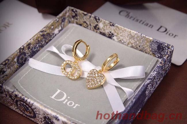 Dior Earrings CE6473