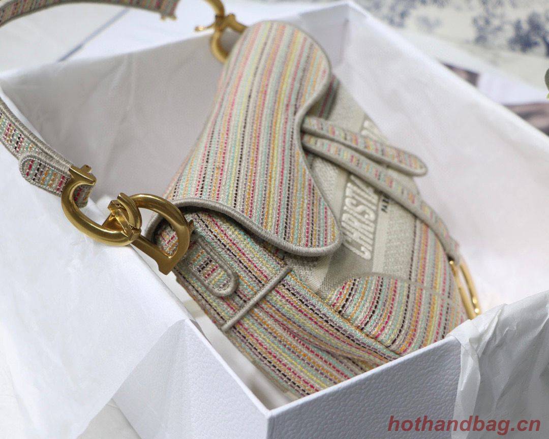 DIOR Embroidery Striped Color SADDLE BAG M0446C Beige