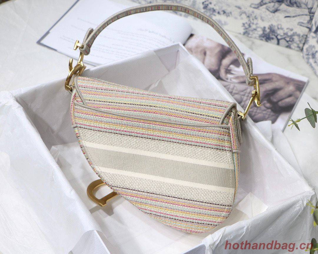 DIOR Embroidery Striped Color SADDLE BAG M0446C Beige