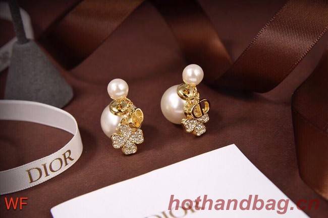 Dior Earrings CE6478