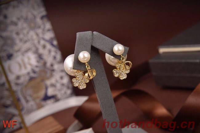 Dior Earrings CE6478