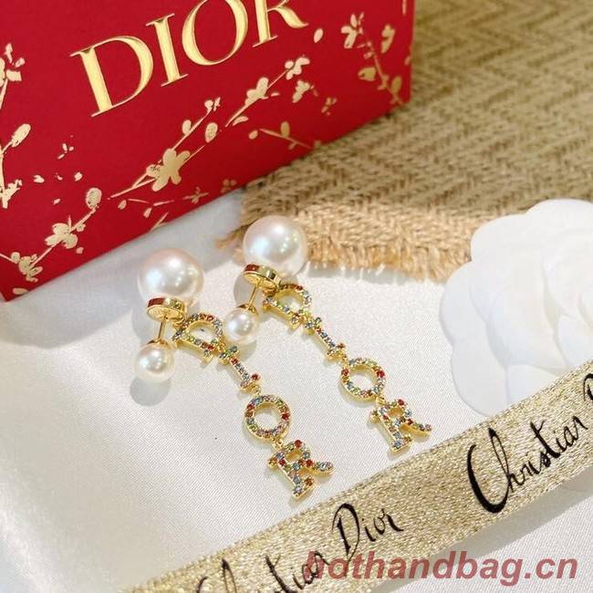 Dior Earrings CE6490