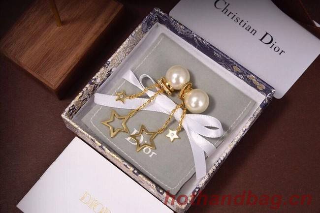 Dior Earrings CE6494